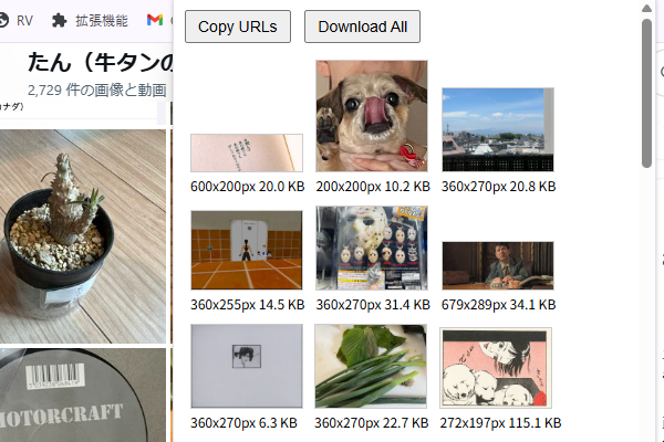 ページ内の画像ダウンロードツール Image Collector Addon for Edge/Chrome