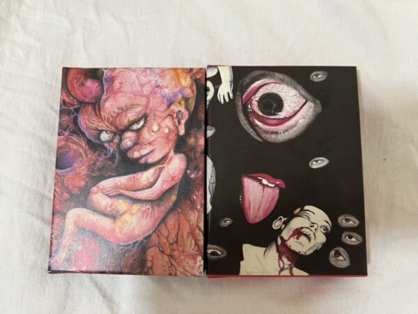 耽美派絵師シリーズ 第壱集 丸尾末広 マルヲグラフ / 日野日出志 腐乱する男 (豆本) (パロマ舎) (1999)