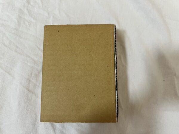 耽美派絵師シリーズ 第壱集 丸尾末広 マルヲグラフ / 日野日出志 腐乱する男 (豆本) (パロマ舎) (1999)